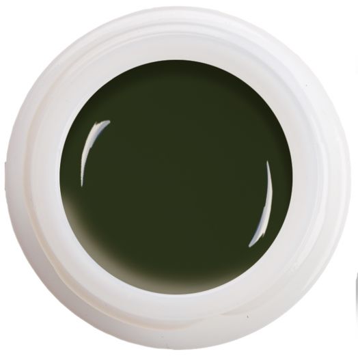 Colour Gel - Dark Night Olive  N°326