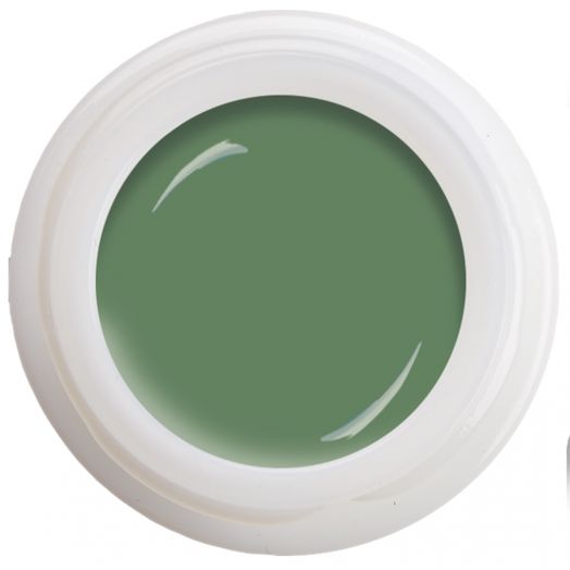 Colour Gel - Fortalezza  N° 491