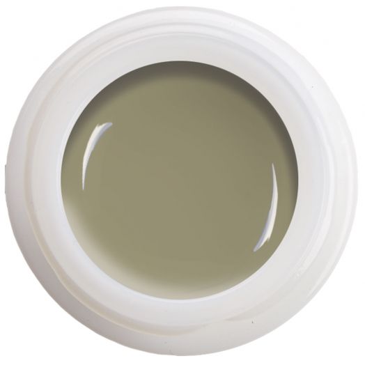 Colour Gel - Olive Grey  N° 520