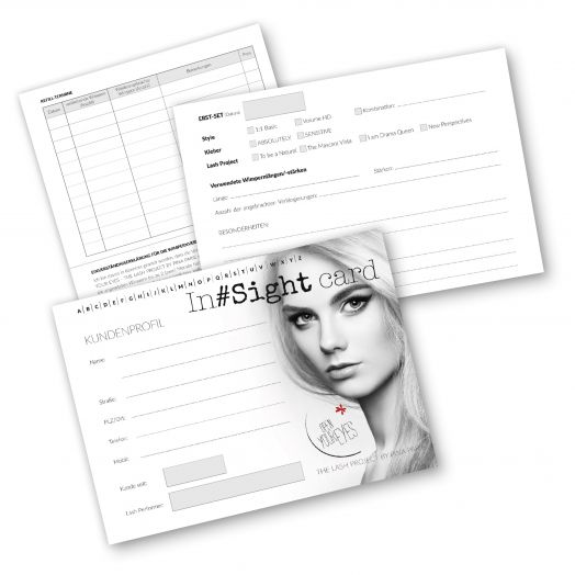 IN-SIGHT CARDS (Klapp-Karteikarten)