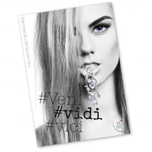 Poster "Veni, vidi, vici" 