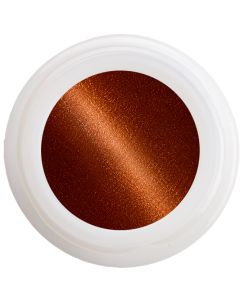 Cat Eye Golden Espresso (M16)