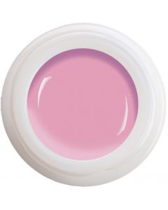 Colour Gel - Diva N°300