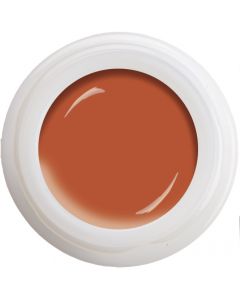 Colour Gel - Honey  N°378