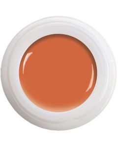 Colour Gel - Good Vibes N° 462