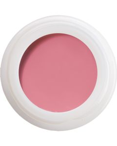 Colour Gel -Powder Rose N°594