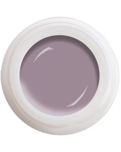 Colour Gel - Smoke Plum N°597