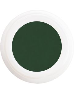 Colour Gel - Velvet Sage N° 619