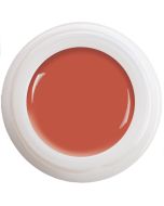 Colour Gel - Hazel  N°331